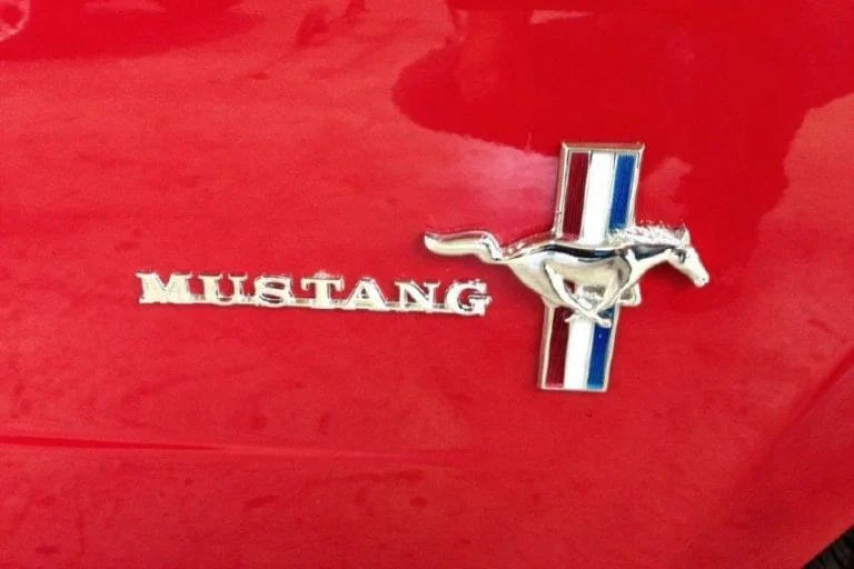 Mustang