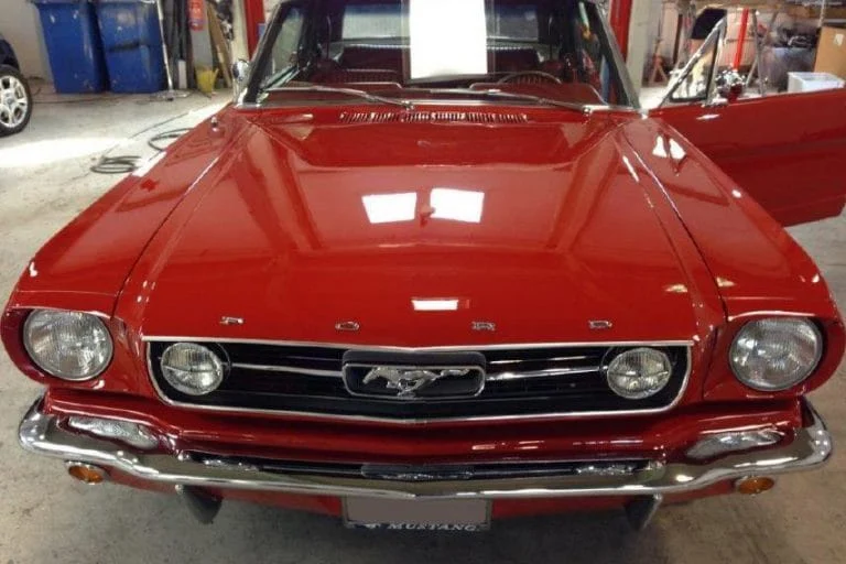 Mustang
